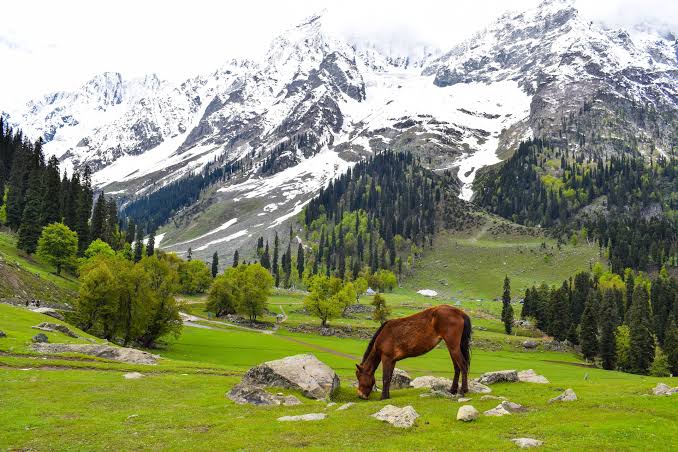 Kashmir Landscape